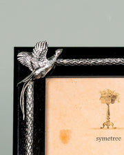 The Flying Seagull Frame